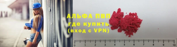 мяу мяу мука Кулебаки
