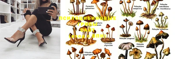 каннабис Кукмор